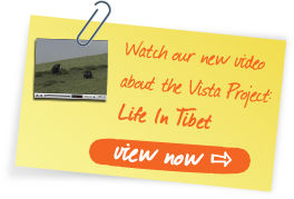 Homepage Video Note