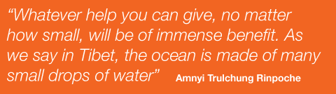 &lquot;Whatever help you can give, no matter how small, will be of immense benefit. As we say in Tibet, the ocean is made of many small drops of water&rquot; - Amnyi Trulchung Rinpoche